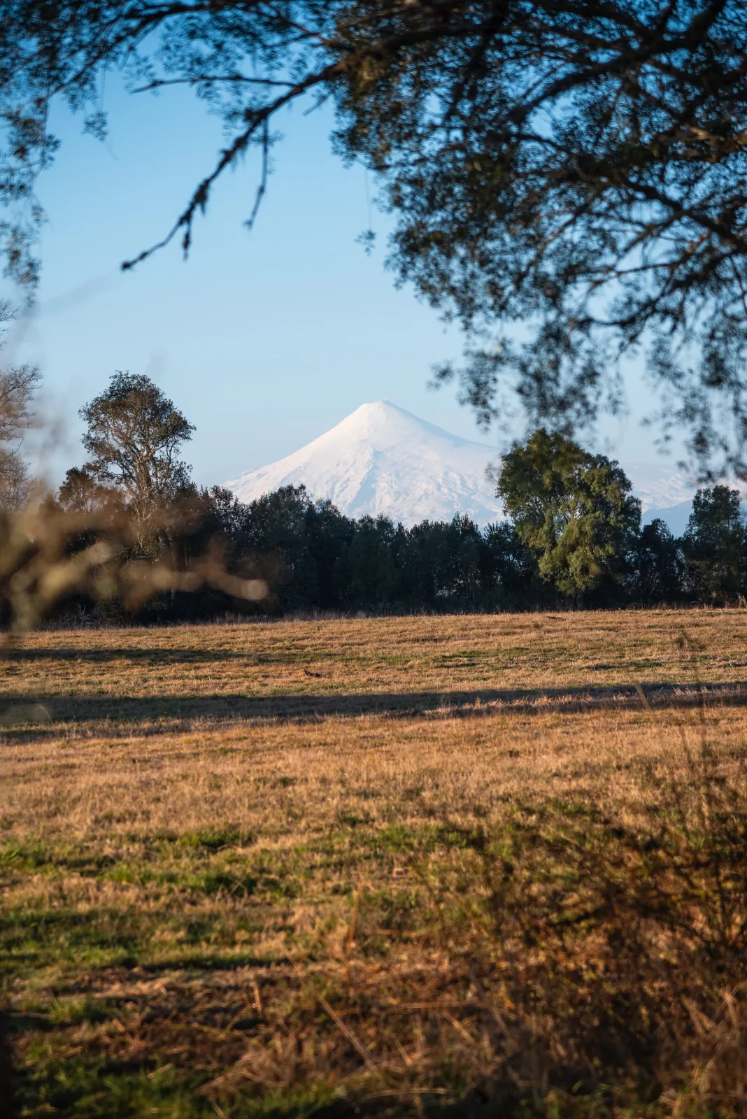Reserva Panguipulli, puedes comprar estando fuera de Chile., foto 5