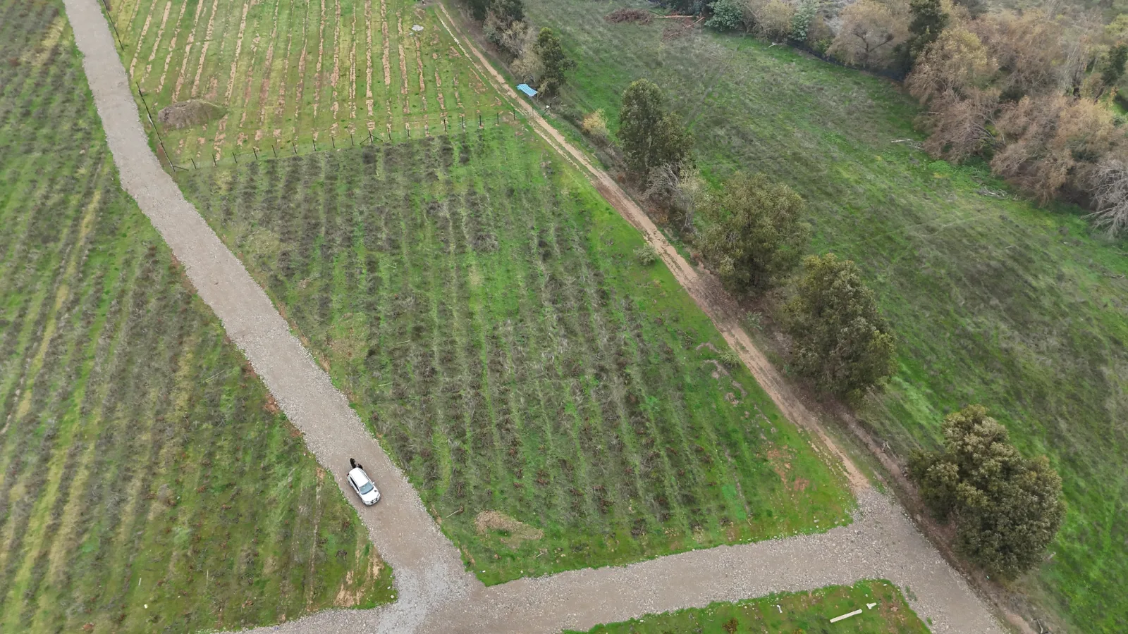 Praderas de Talca, foto 5
