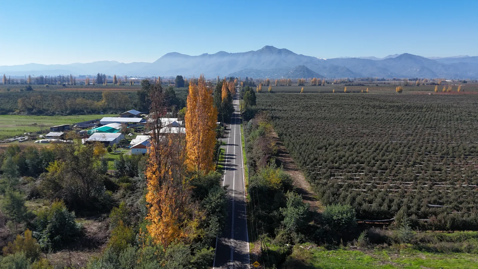 Hacienda de Curicó, puedes comprar estando fuera de Chile., foto 8
