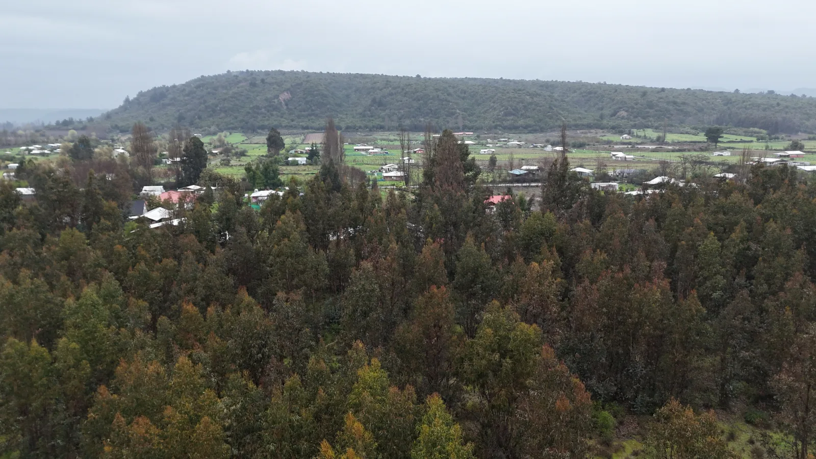 Altos de Mesamávida, foto 5
