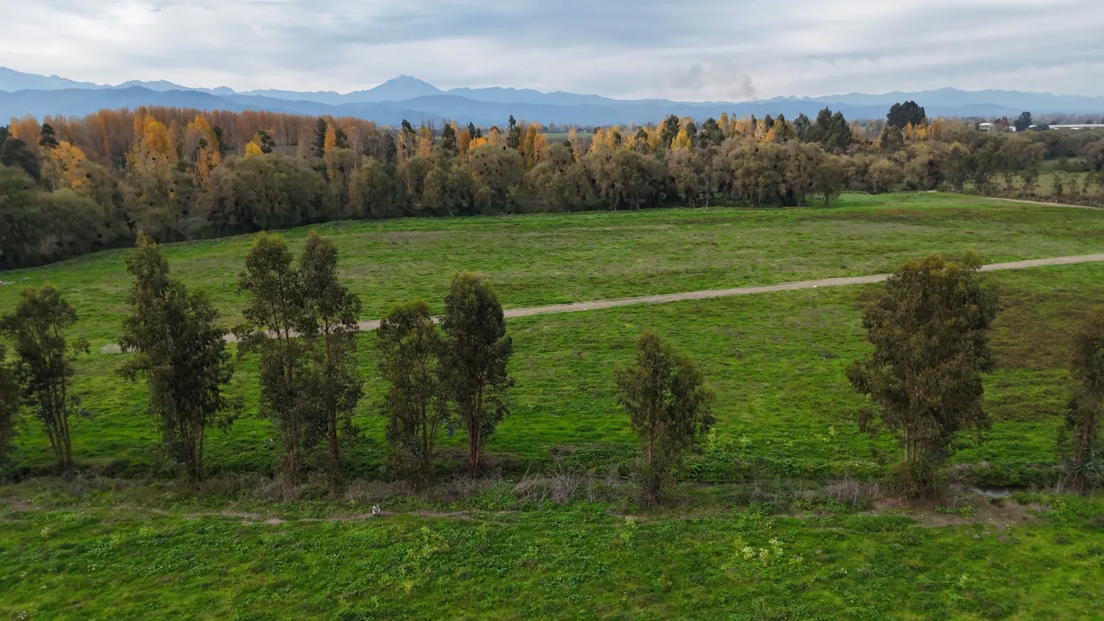 Aires de Longaví Etapa 1, puedes comprar estando fuera de Chile, foto 7