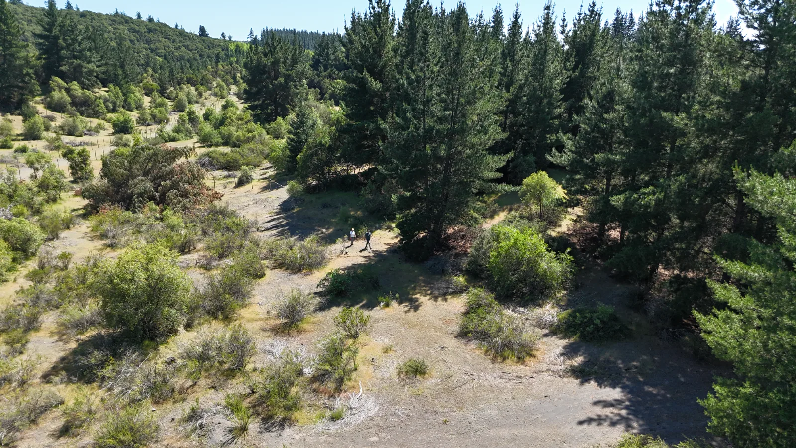 El Dorado, Yumbel terrenos de 15.000m2, foto 7