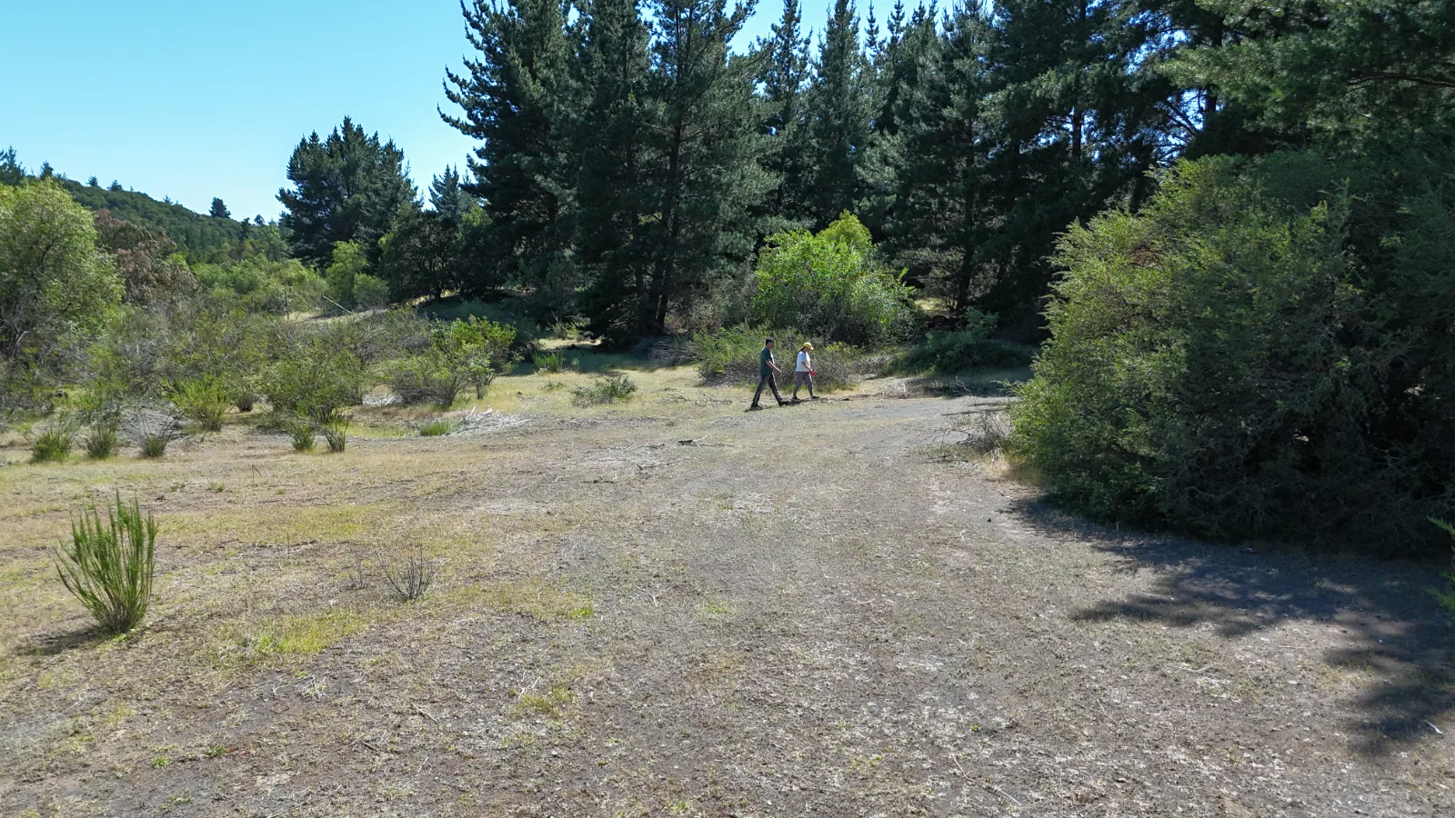 El Dorado, Yumbel terrenos de 15.000m2, foto 5