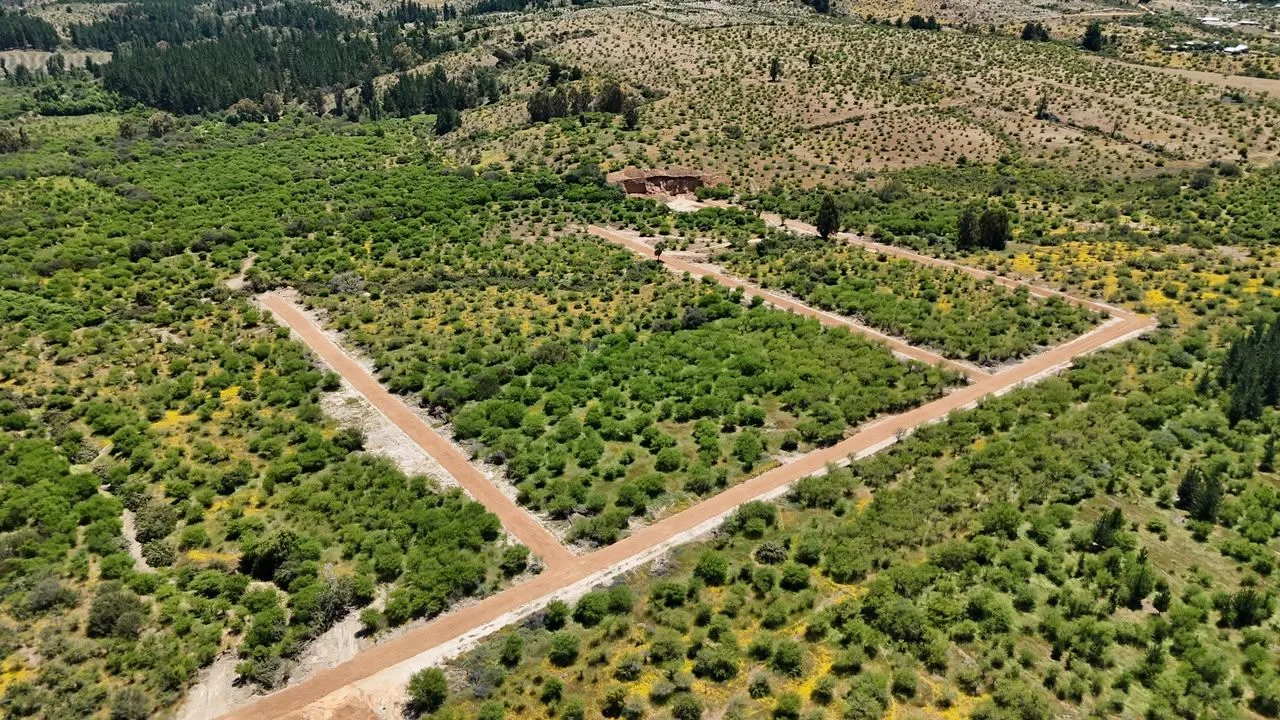 Jardines de Cauquenes, puedes comprar estando fuera de Chile, Cauquenes