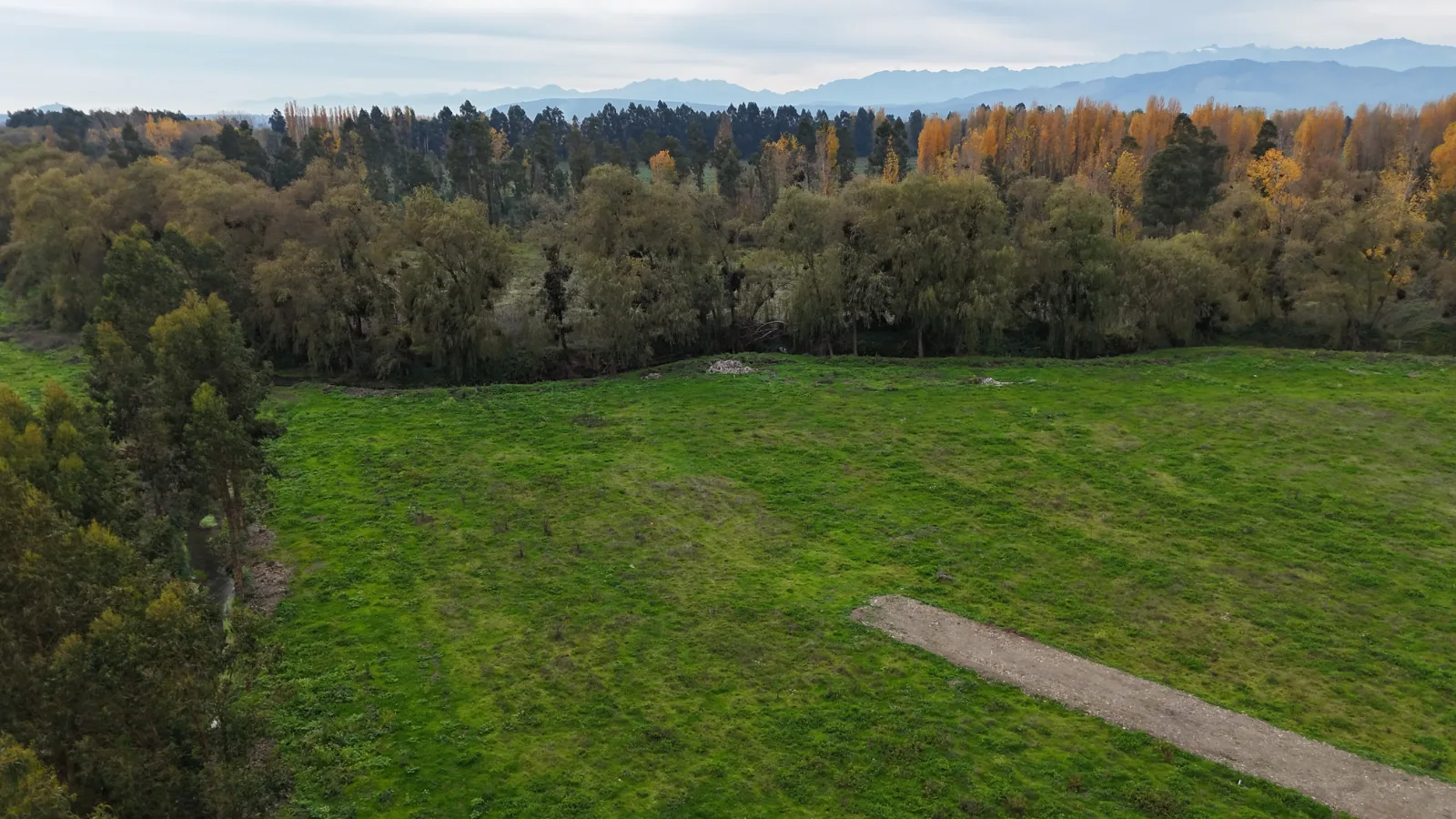 Aires de Longaví Etapa 1, puedes comprar estando fuera de Chile, foto 6
