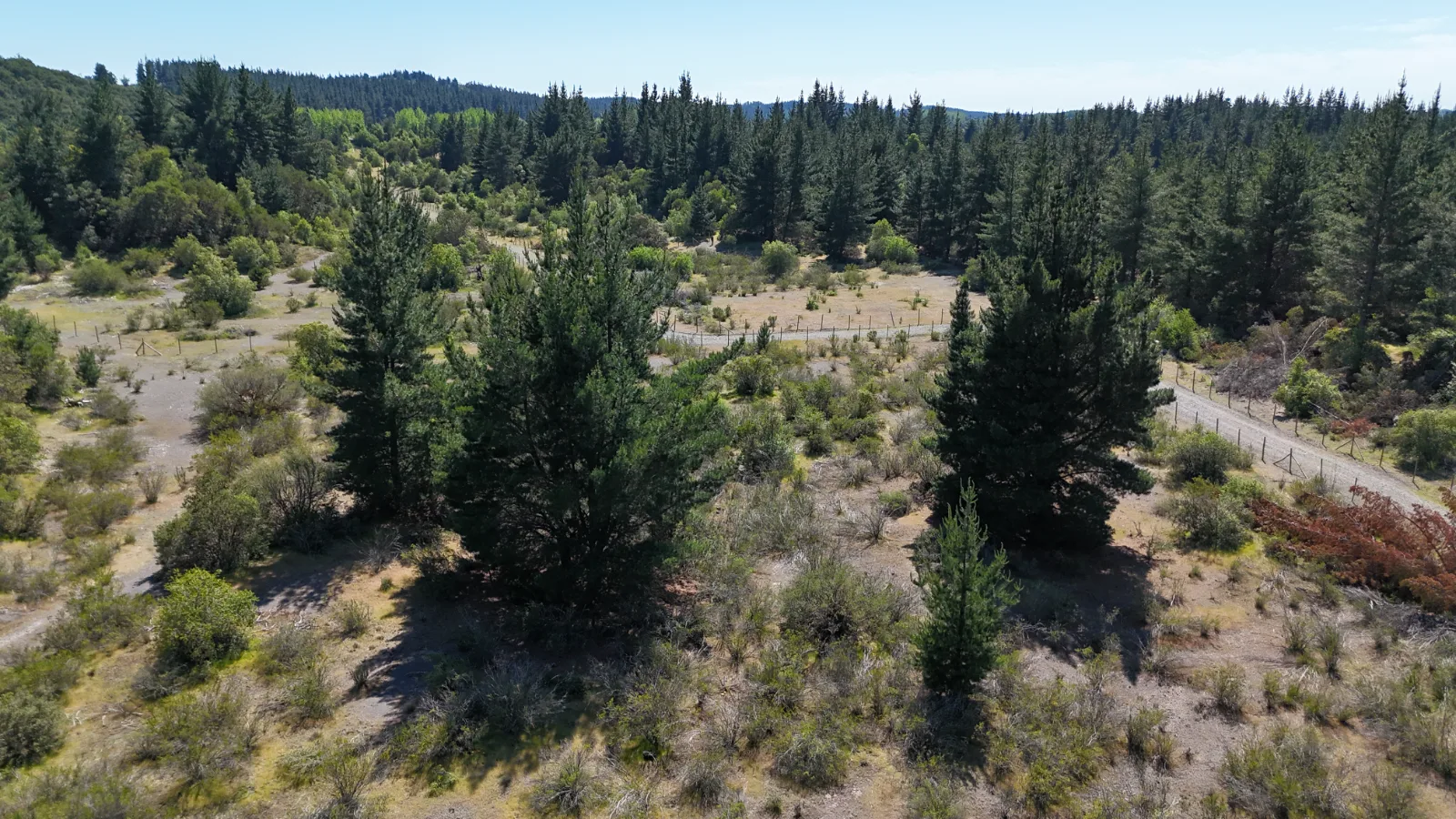 El Dorado, Yumbel terrenos de 15.000m2, foto 6