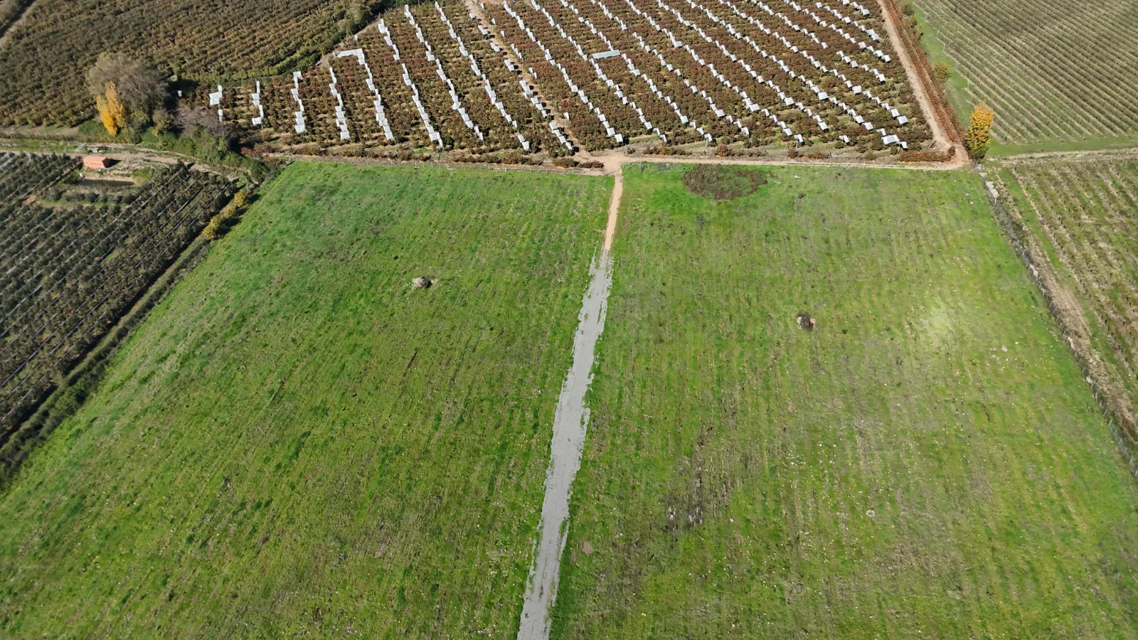 Hacienda de Curicó, puedes comprar estando fuera de Chile., foto 10
