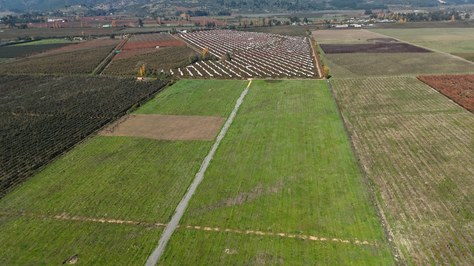 Hacienda de Curicó, puedes comprar estando fuera de Chile., foto 9