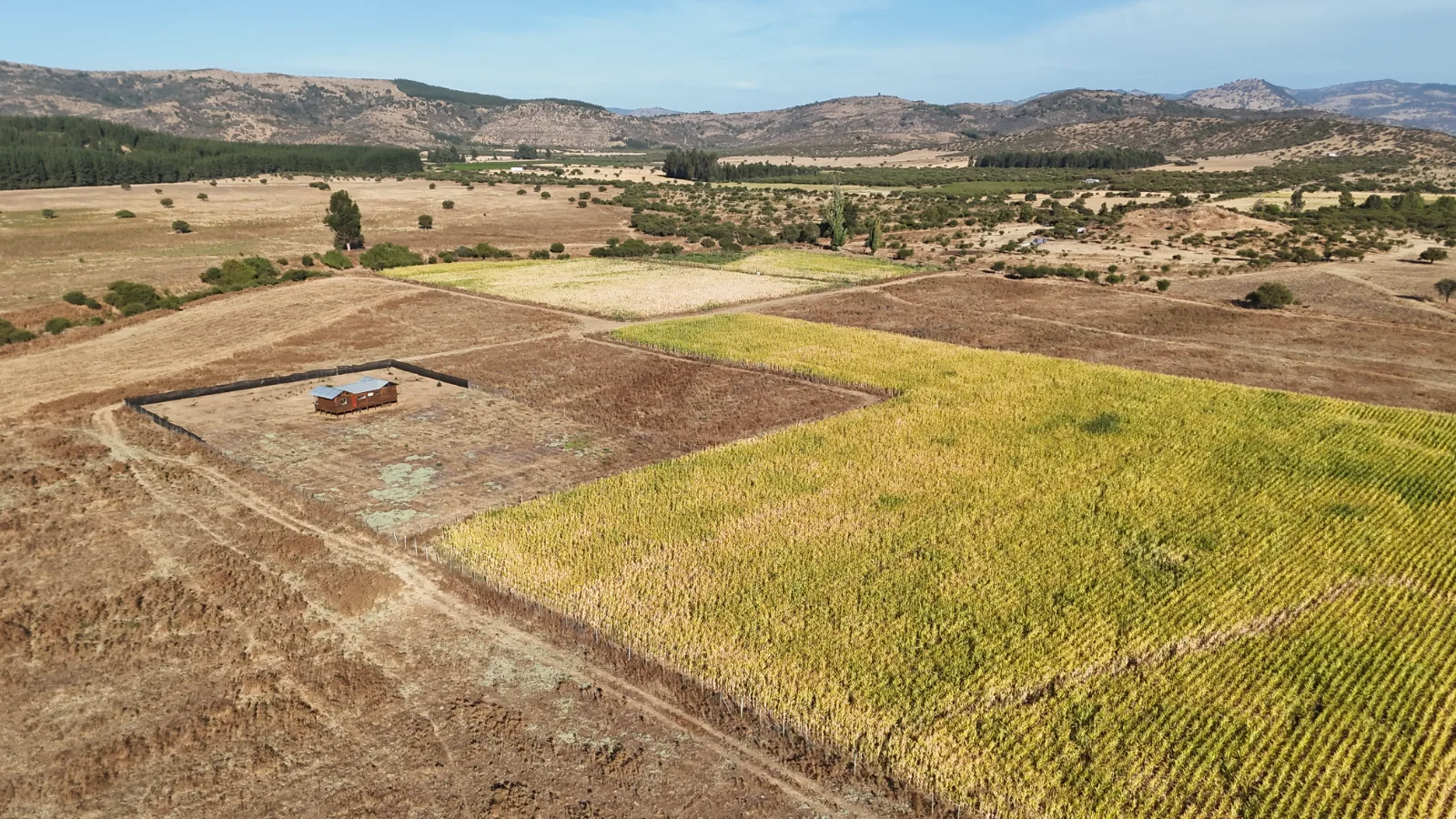 Valles del Maule, foto 6