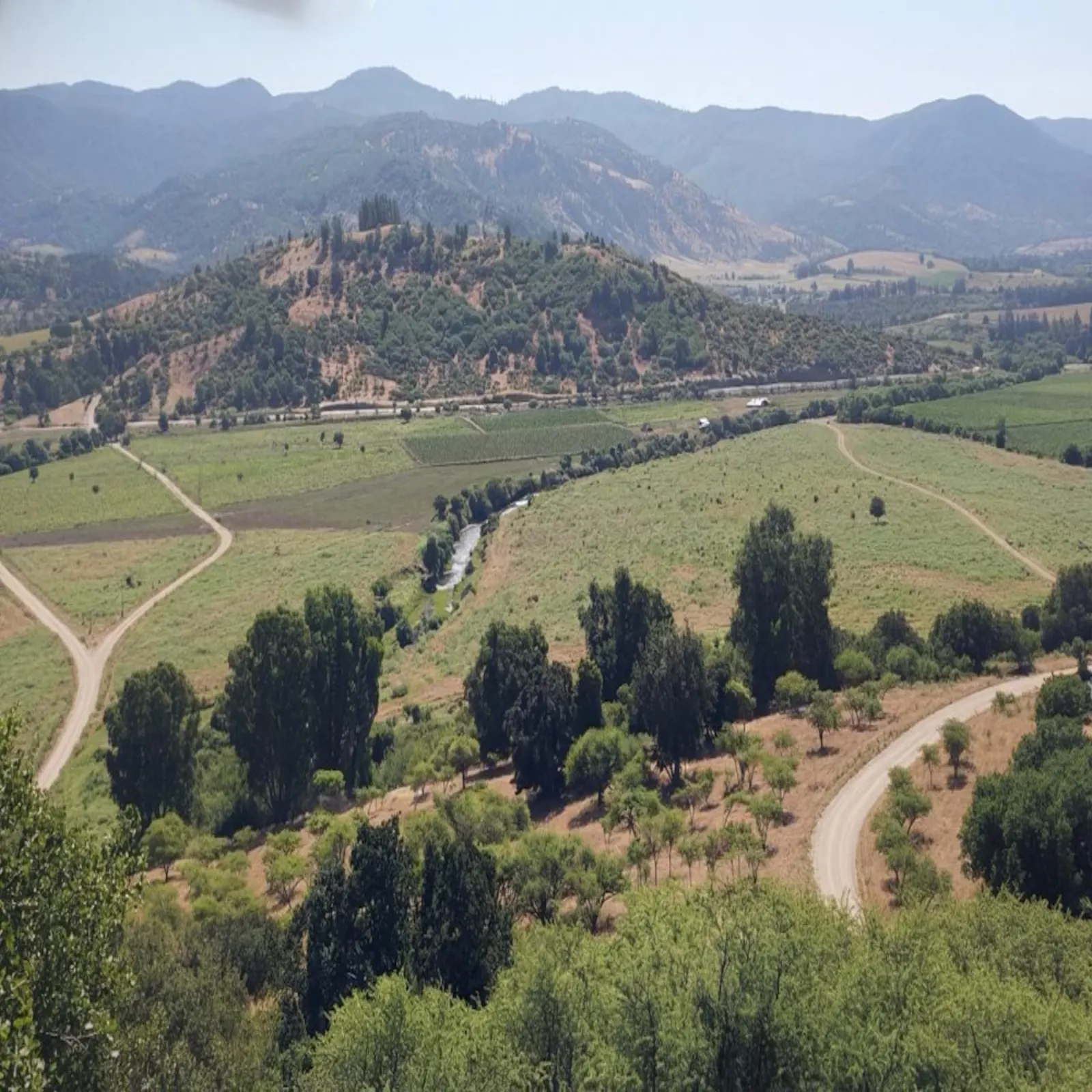 Valles del Maule, Hualañé