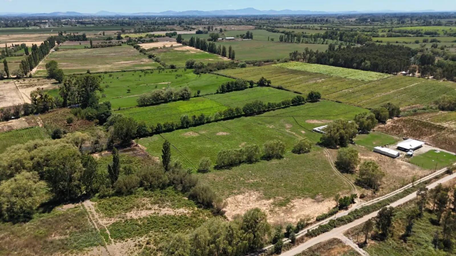 Aires de Longaví Etapa 1, puedes comprar estando fuera de Chile, foto 2