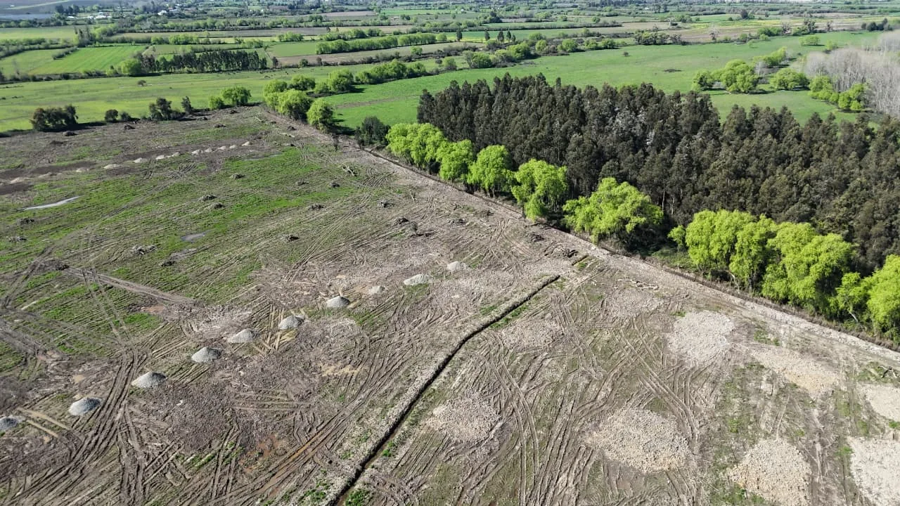 Aires de Longaví Etapa 2, puedes comprar estando fuera de Chile, foto 3