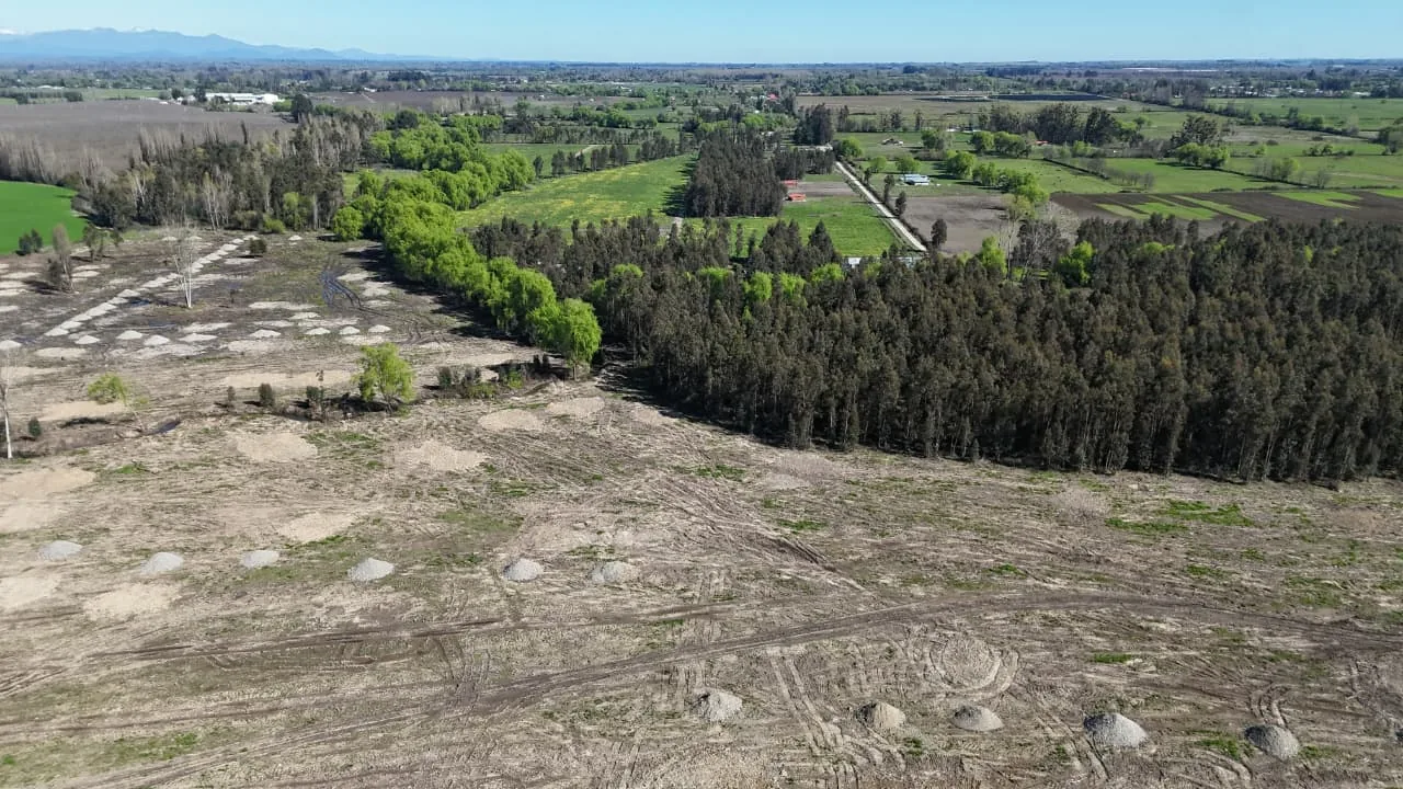 Aires de Longaví Etapa 2, puedes comprar estando fuera de Chile, foto 4