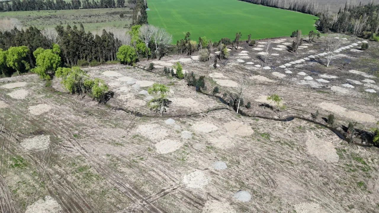 Aires de Longaví Etapa 2, puedes comprar estando fuera de Chile, foto 8